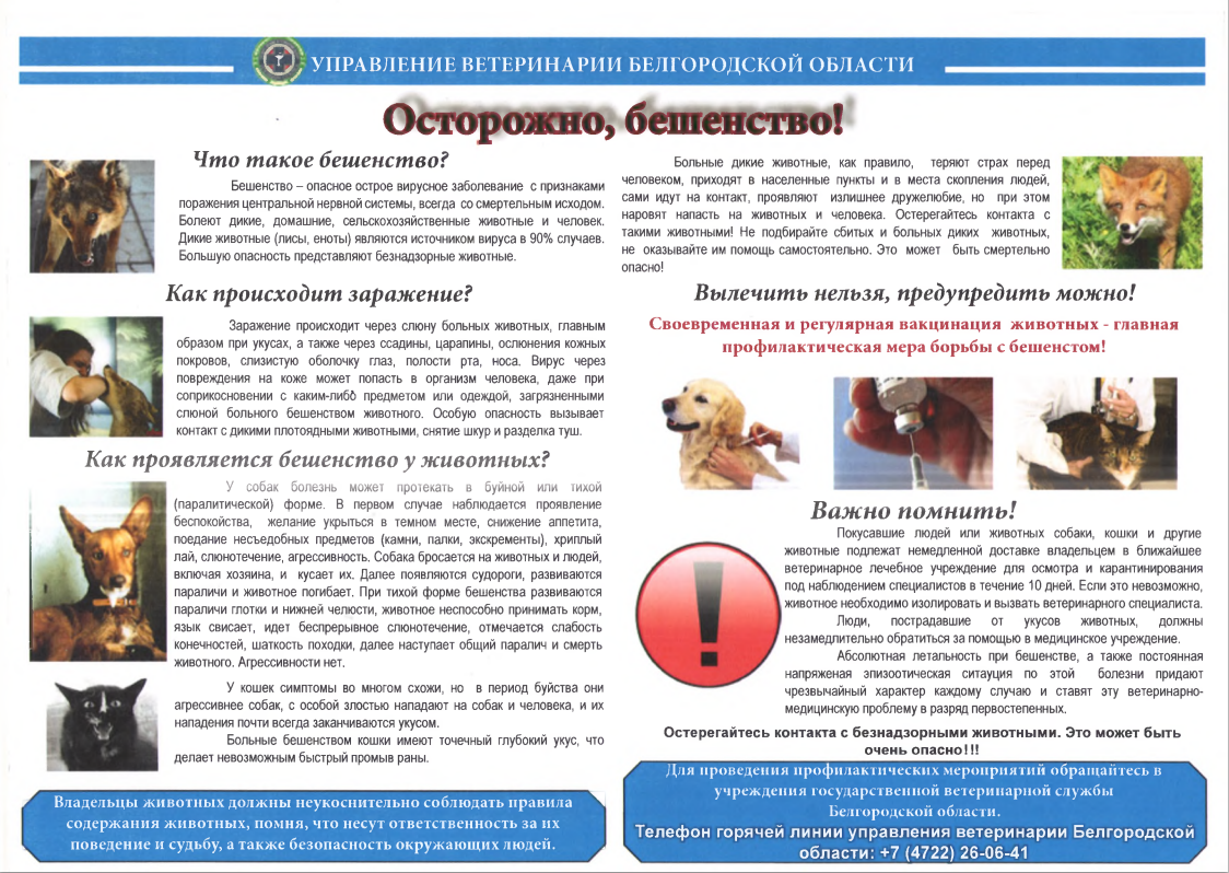 Управление ветеринарии Белгородской области информирует о бешенстве.