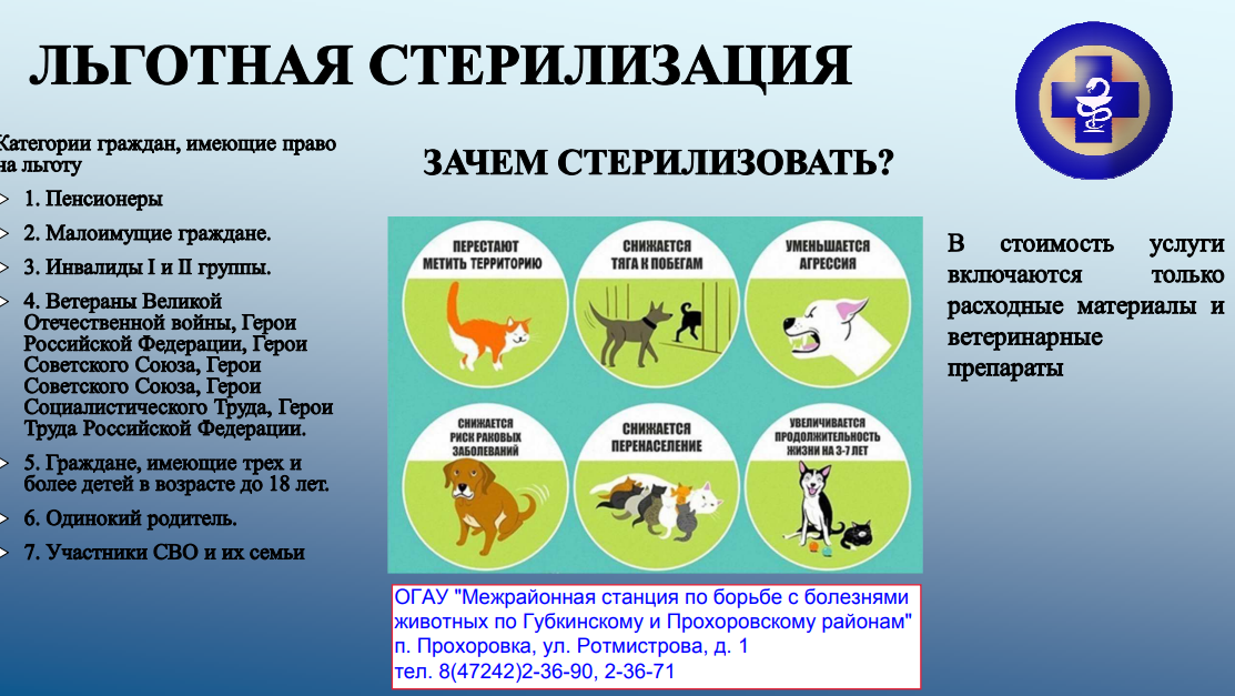 Льготная стерилизация кошек и собак.